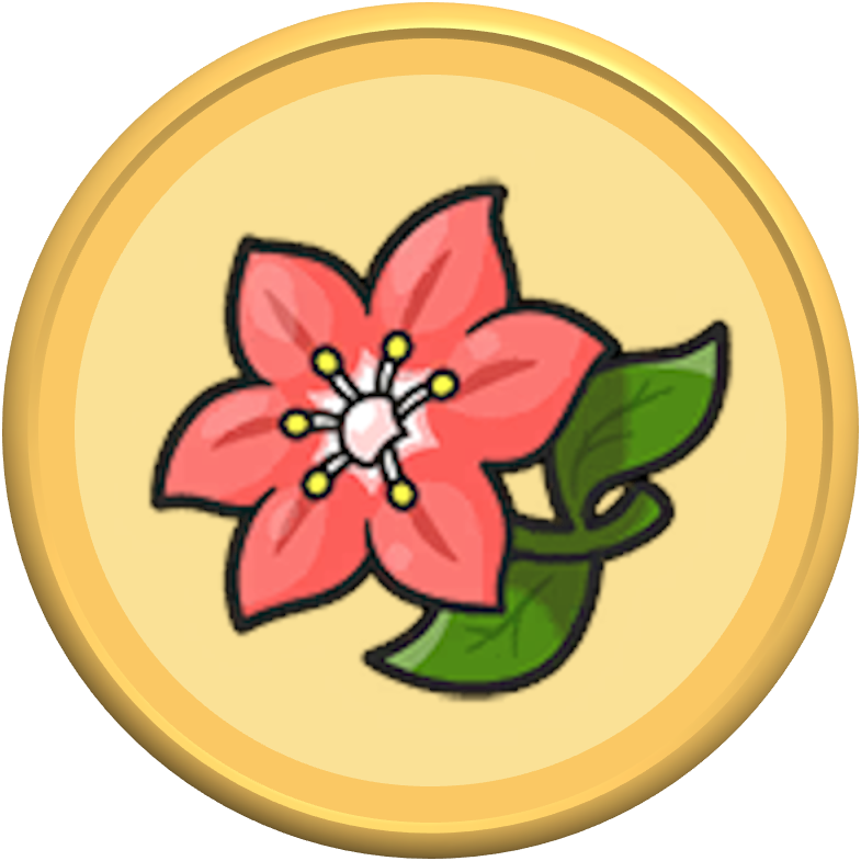 Gracidea Flower