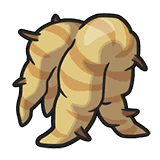 Big Root