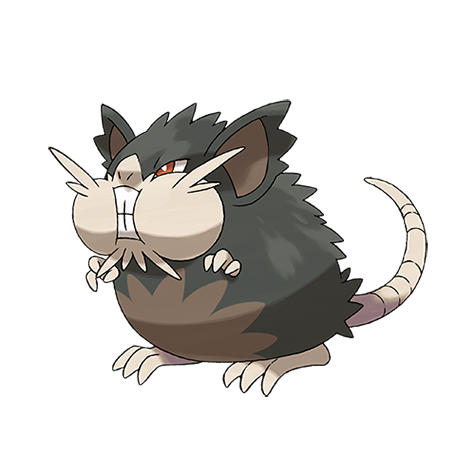 Pokémon #20-f1 - Raticate