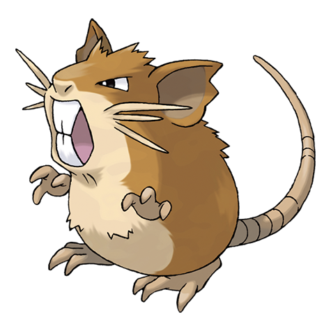 Pokémon #20 - Raticate