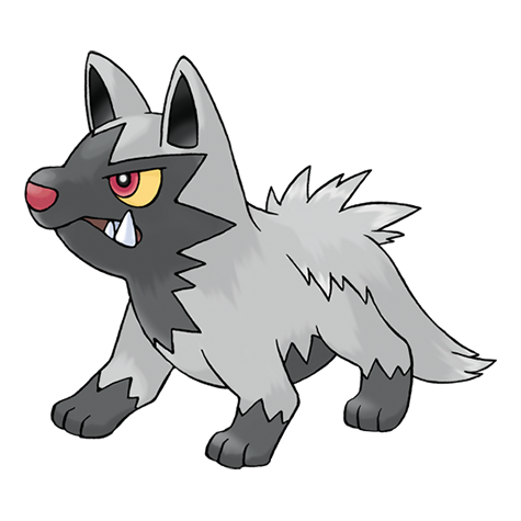 Pokémon #261 - Poochyena
