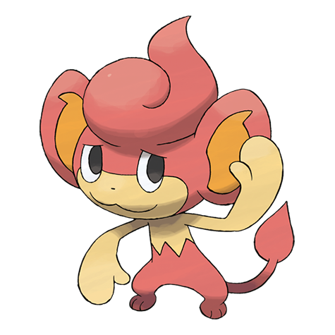 Pokémon #513 - Pansear