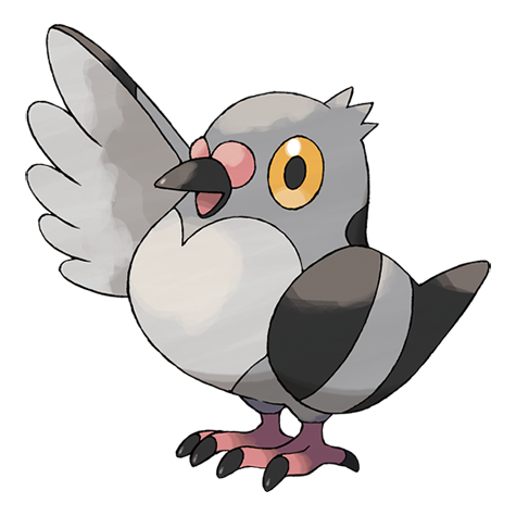 Pokémon #519 - Pidove