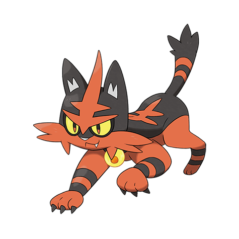 Pokémon #726 - Torracat