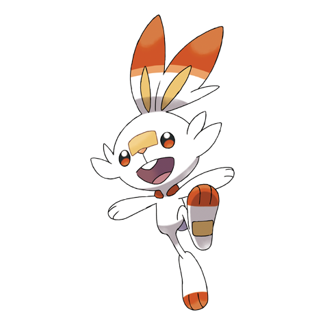 Pokémon #813 - Scorbunny