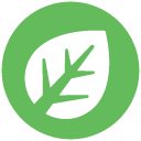 grass